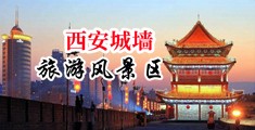 97搞老熟女鸡中国陕西-西安城墙旅游风景区